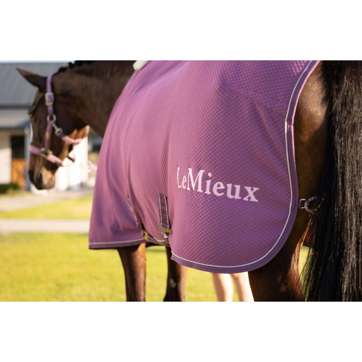 LeMieux Cooler Kudos Bamboo Mallow