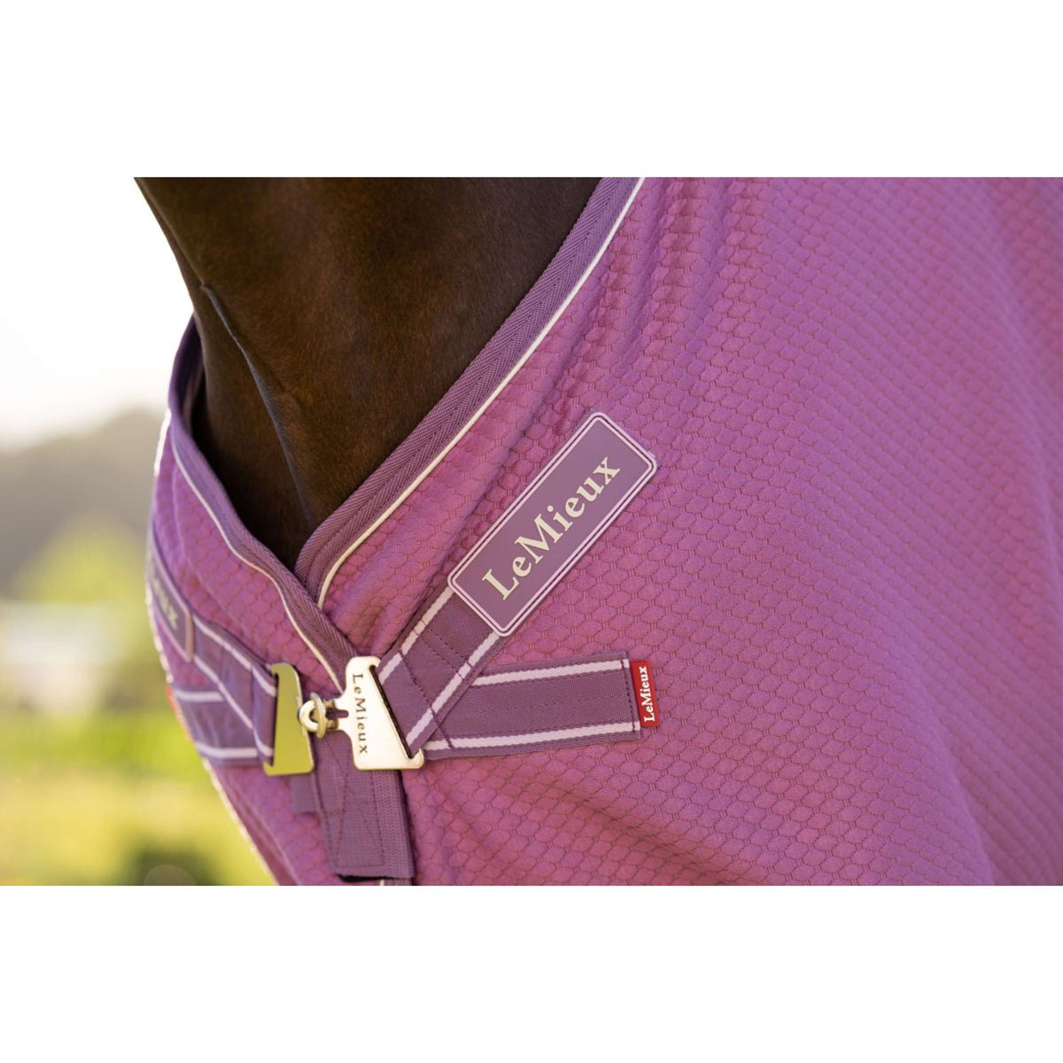 LeMieux Cooler Kudos Bamboo Mallow