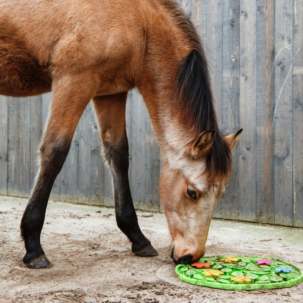 Excellent Alfombra Olfativa Horse Flower Power