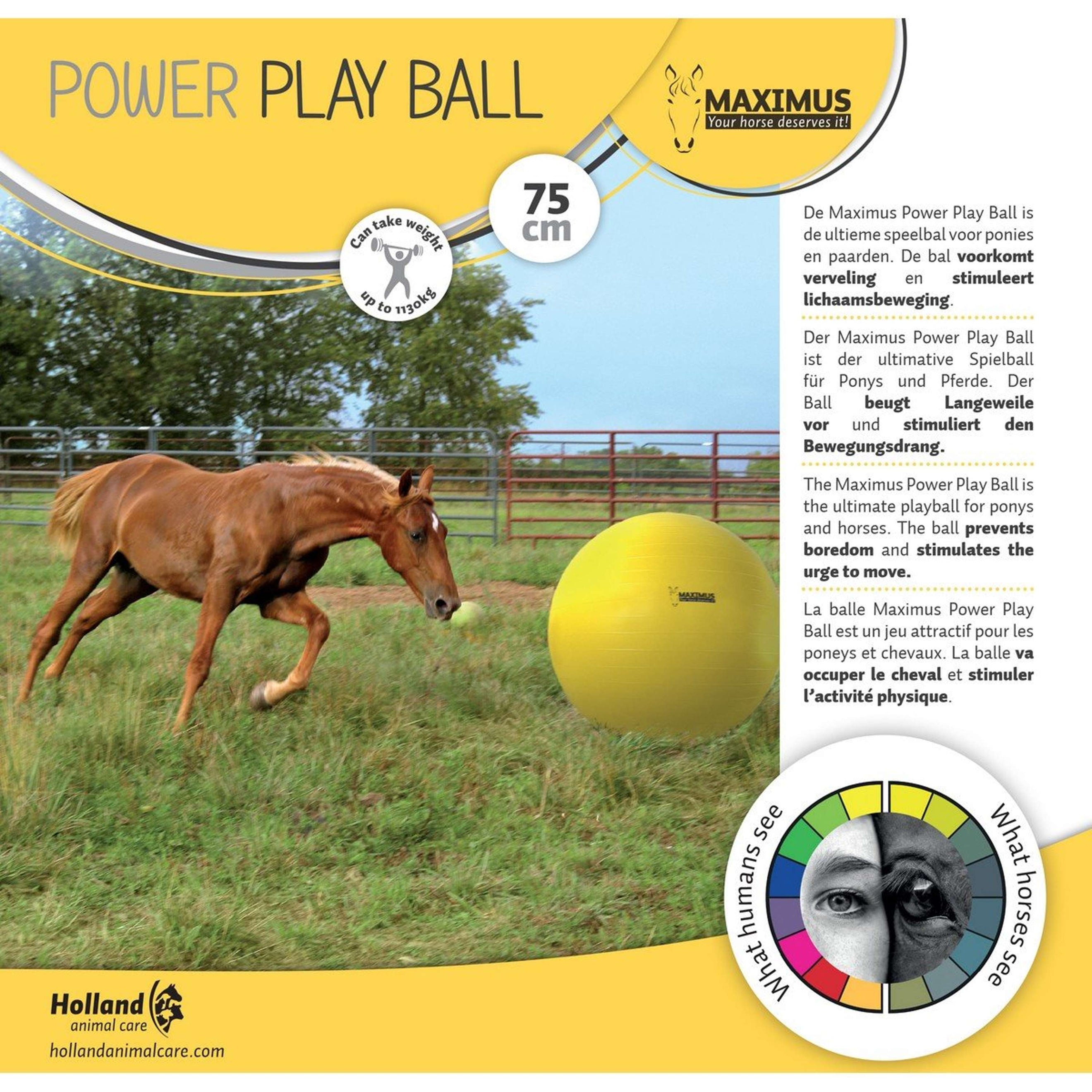 Maximus Ball Power Play Amarillo Maximus Ball Power Play Amarillo