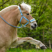 Hoefwijzer Cabezada Azul claro