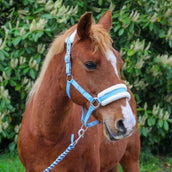 Hoefwijzer Cabezada Azul claro