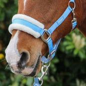 Hoefwijzer Cabezada Azul claro