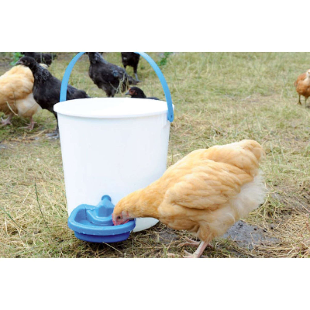 Excellent Bebedero para aves de corral