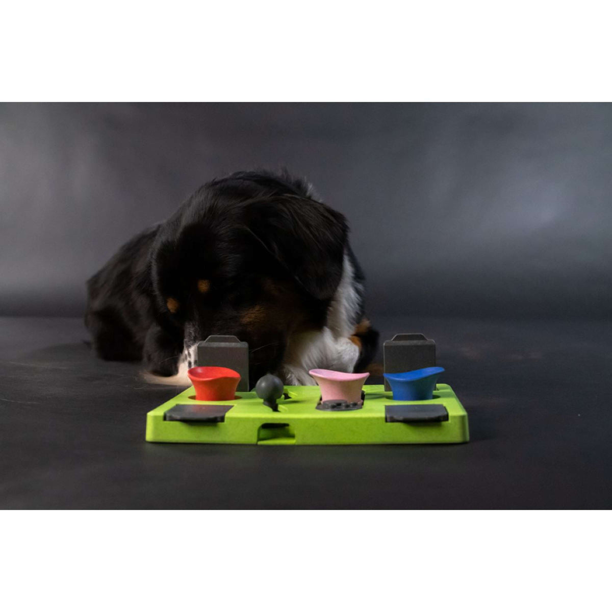 Eat Slow Live Longer Juguete Interactivo Puzzle Rectangle