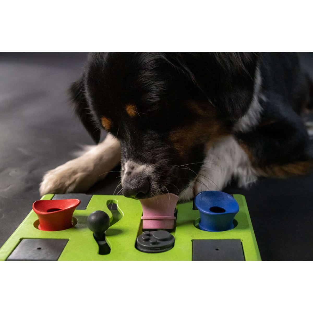 Eat Slow Live Longer Juguete Interactivo Puzzle Rectangle
