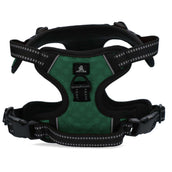 Spotted Pro! Arnés para Perro Verde