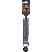 Spotted Pro! Collar para Perro Cuero Gris