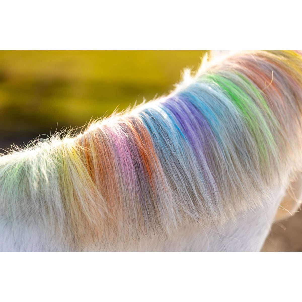 Paardenpraat tiza para el cabello