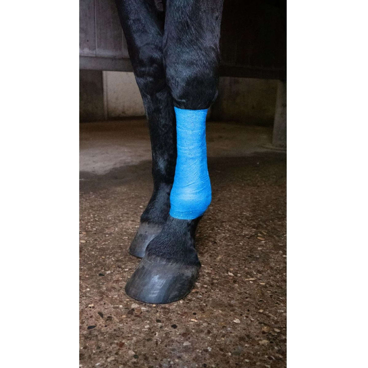 Excellent Venda Animal Profi con Brillo Azul