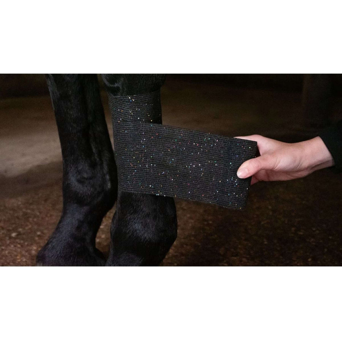 Excellent Venda Animal Profi con Brillo Negro