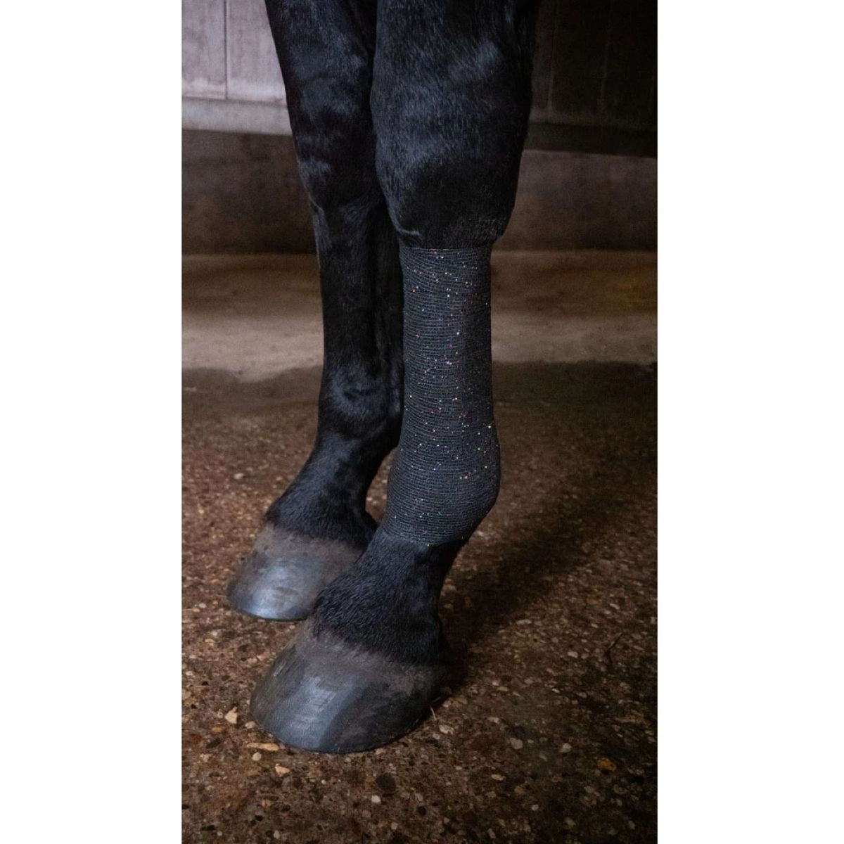 Excellent Venda Animal Profi con Brillo Negro