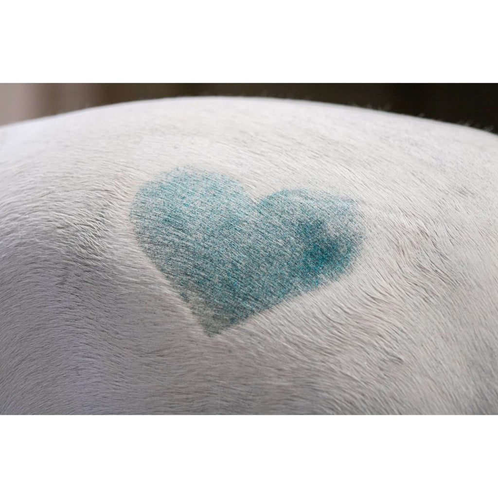 Excellent Spray de Purpurina Hi Gloss Arcoiris