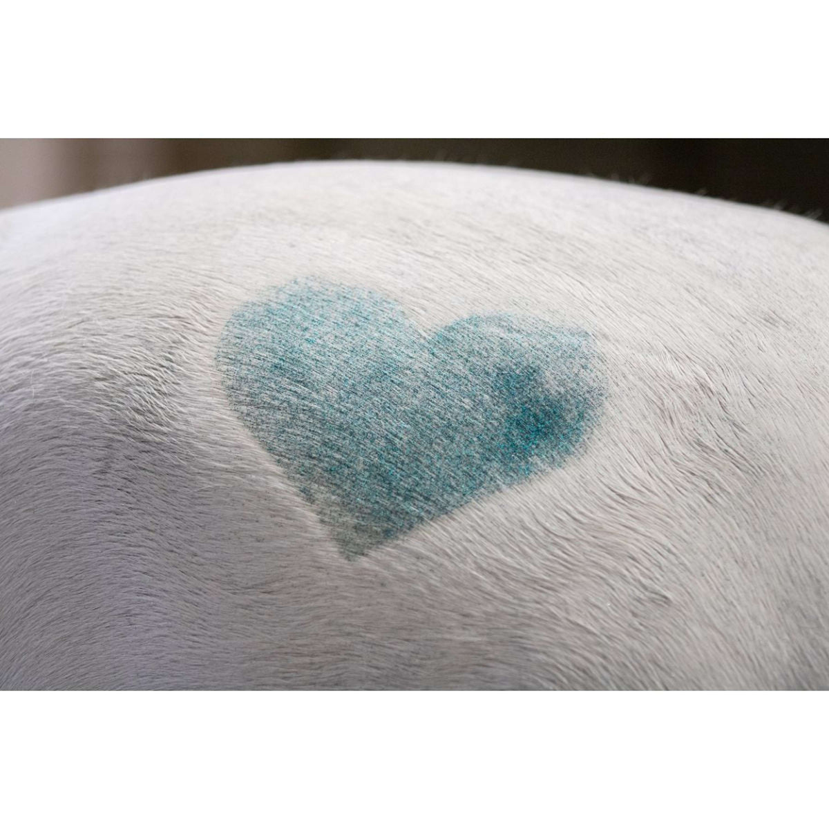 Excellent Spray de Purpurina Hi Gloss Arcoiris