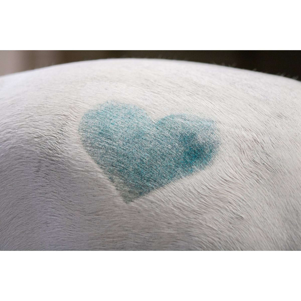 Excellent Spray de Purpurina Hi Gloss Arcoiris