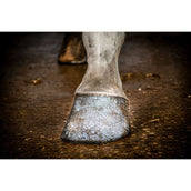 Excellent Brillo para Cascos Hi Gloss con Purpurina Plata