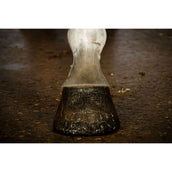 Excellent Brillo para Cascos Hi Gloss con Purpurina Oro