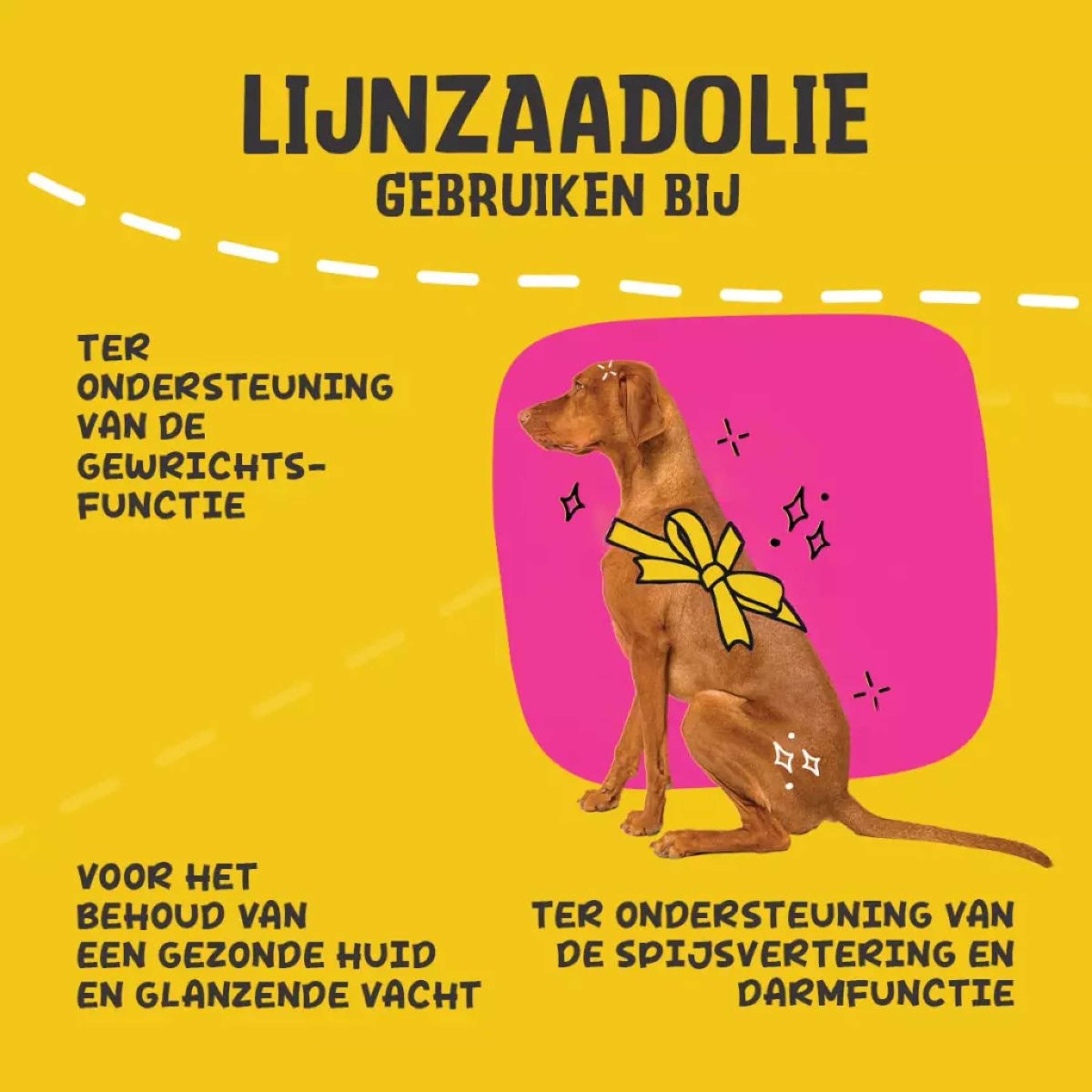 Excellent Aceite de Linaza Voor Honden