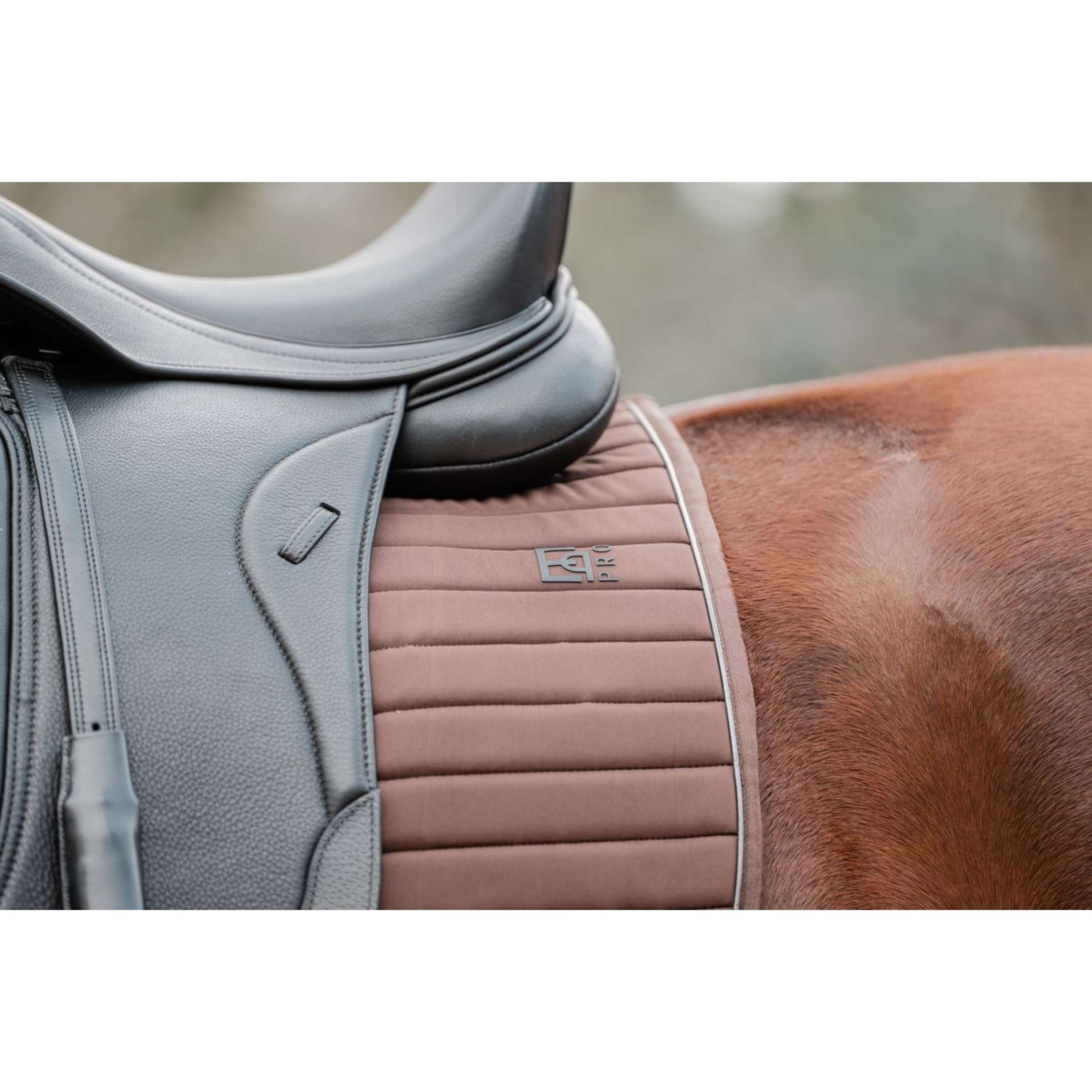 EQPRO Mantilla Softshell Doma Clásica Chocolate
