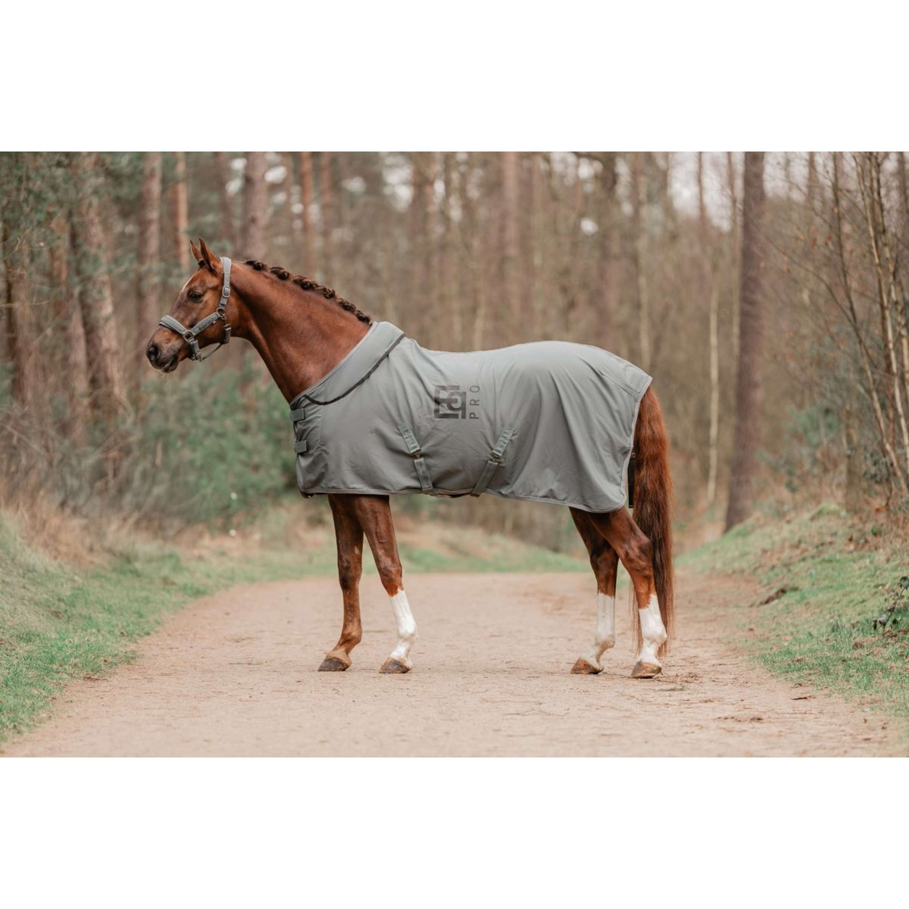 EQPRO Manta Softshell con Cuello Enrollable Shadow Steel