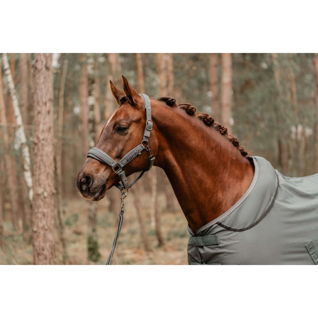 EQPRO Juego de Cabestro Softshell Shadow Steel