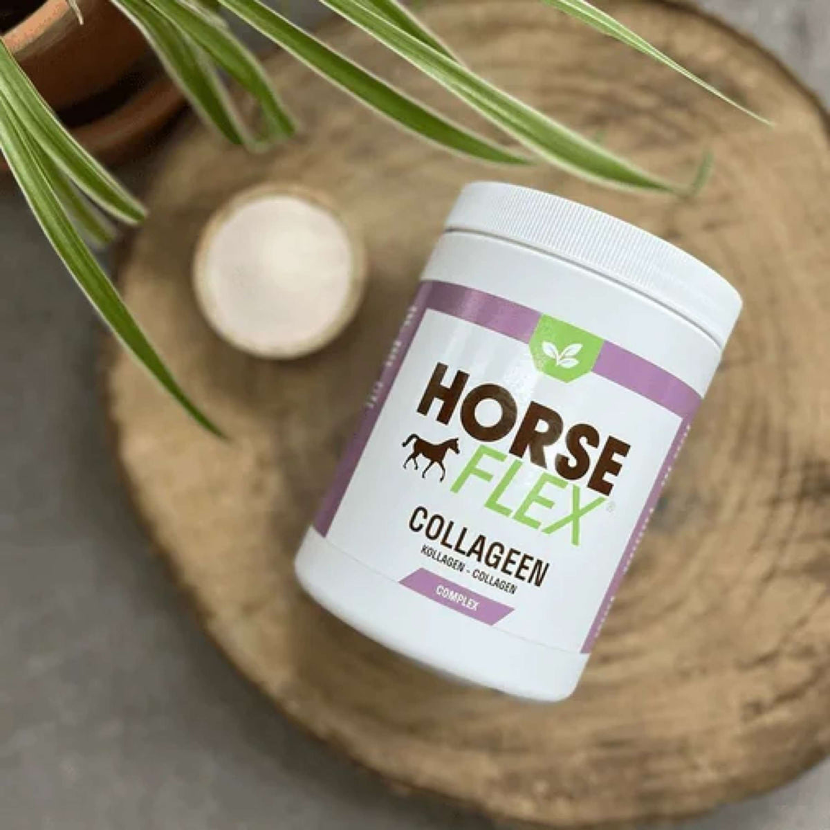HorseFlex Complejo de Colágeno