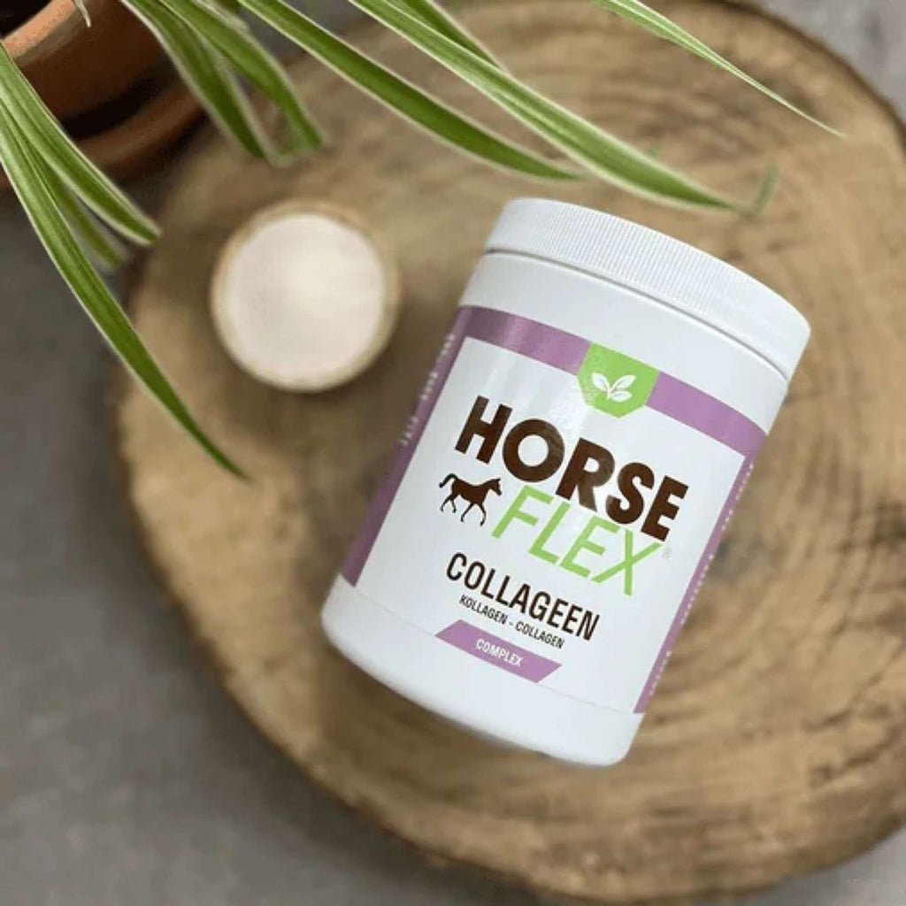 HorseFlex Complejo de Colágeno Recarga