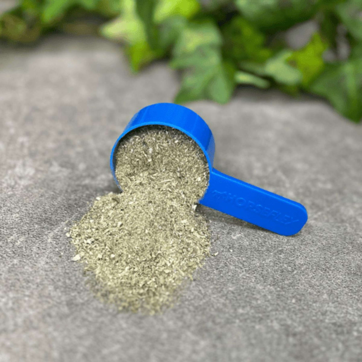 HorseFlex Musgo de Islandia