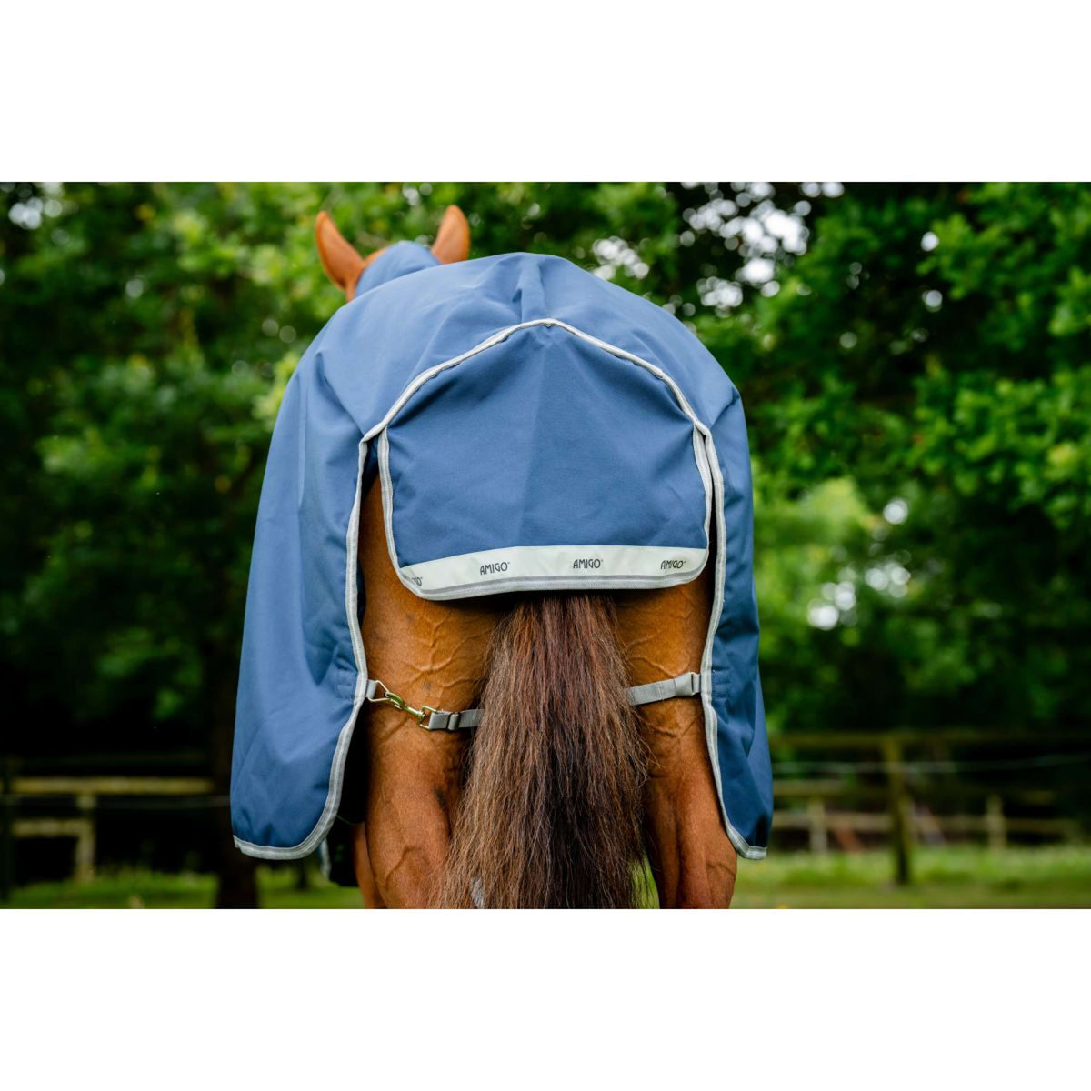 Amigo by Horseware Bravo 12 Plus T/O 100g Navy/Titanium Grey