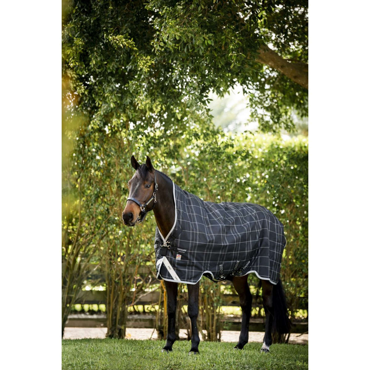 Rhino Wug Turnout 250g Varilayer Black/Grey/White Check/Gray