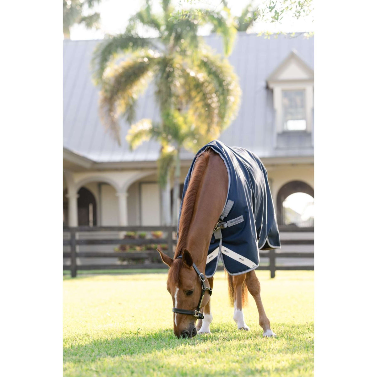 Amigo Bravo 12 Turnout 100g Navy/Titanium Grey