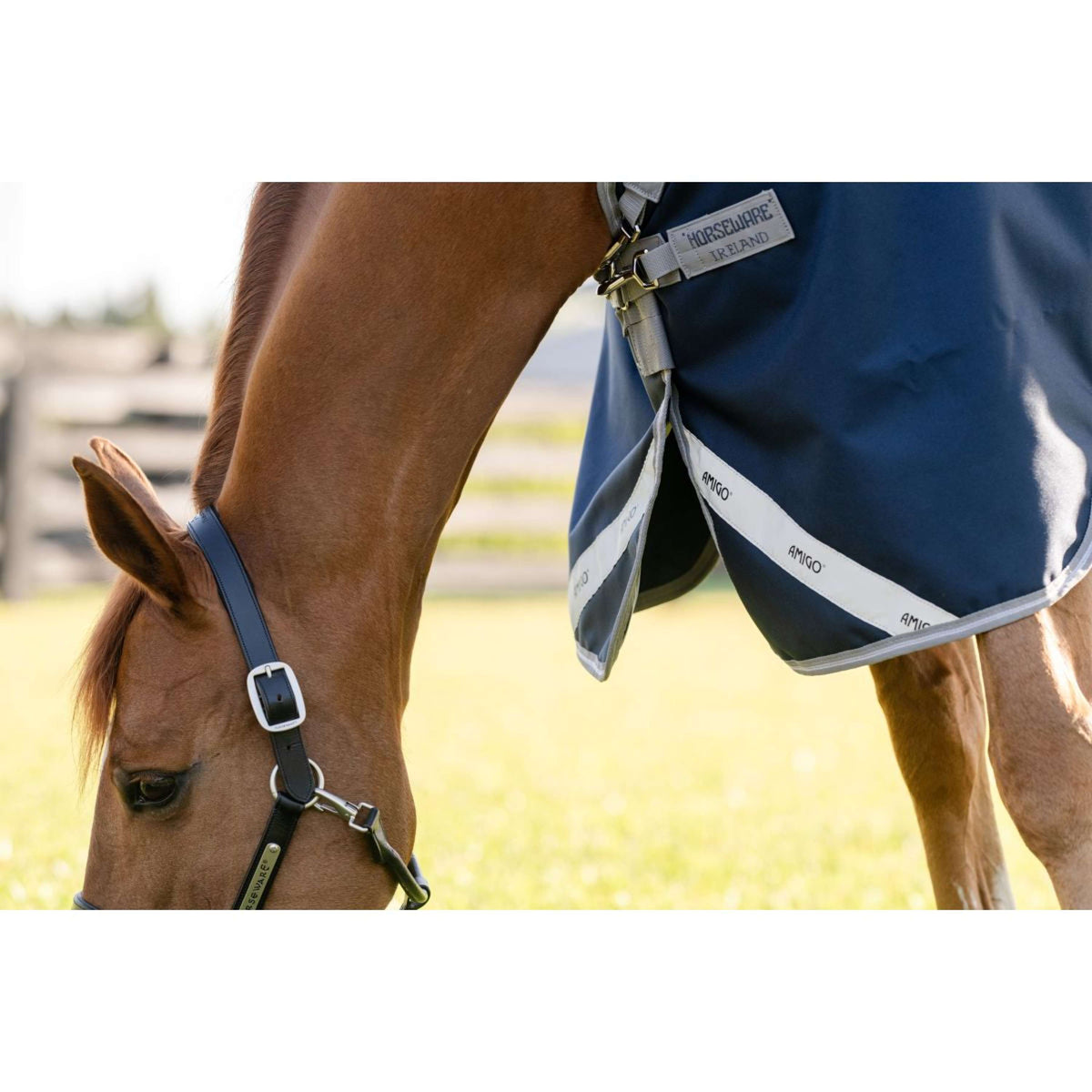 Amigo Bravo 12 Turnout 100g Navy/Titanium Grey