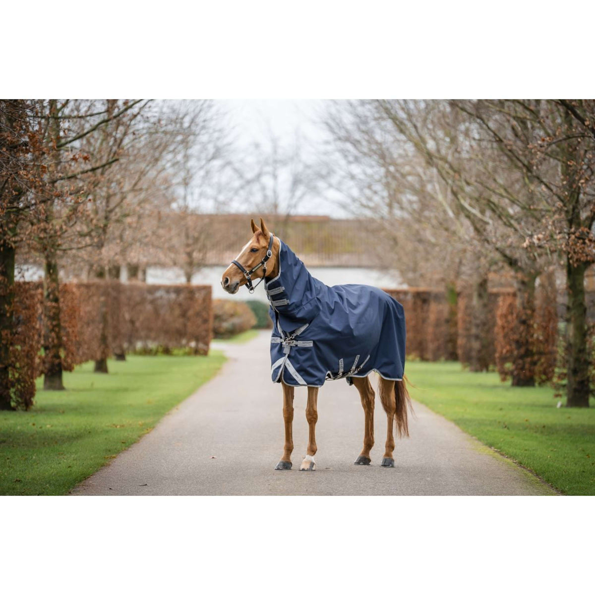 Amigo Turnout Rug Integrated 1200D 150g Navy/Titanium Grey/Silver