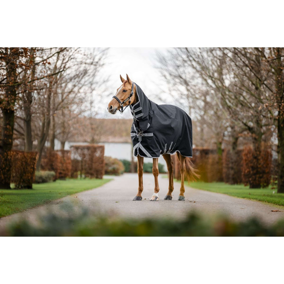 Amigo Turnout Rug Integrated 1200D 250g Black/Titanium Grey/Silver
