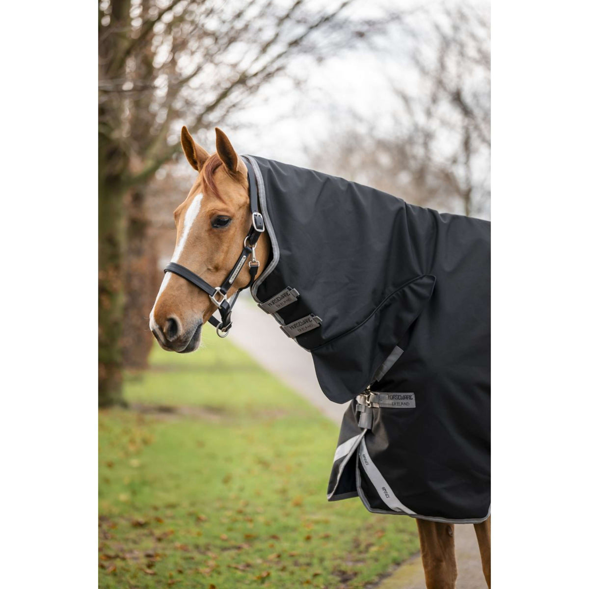Amigo Turnout Rug Integrated 1200D 250g Black/Titanium Grey/Silver