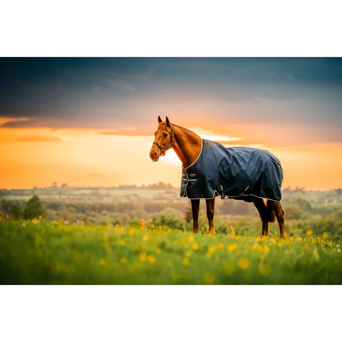 Amigo Ripstop 900D 200g Witney Navy