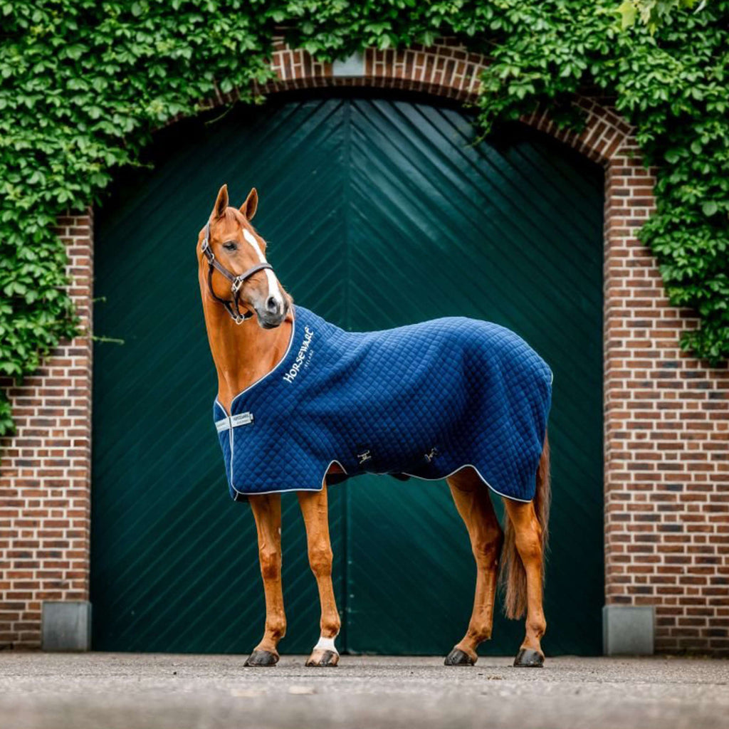 Horseware Cooler Autumn Marino/Plata