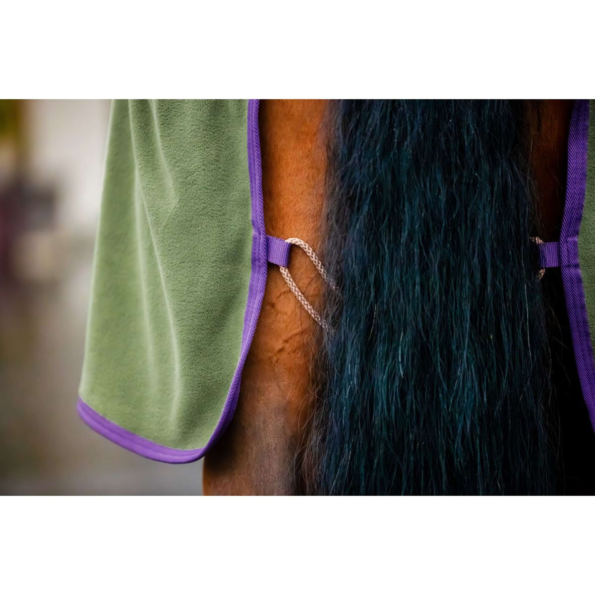 Amigo Jersey Cooler Bramble/Winterberry