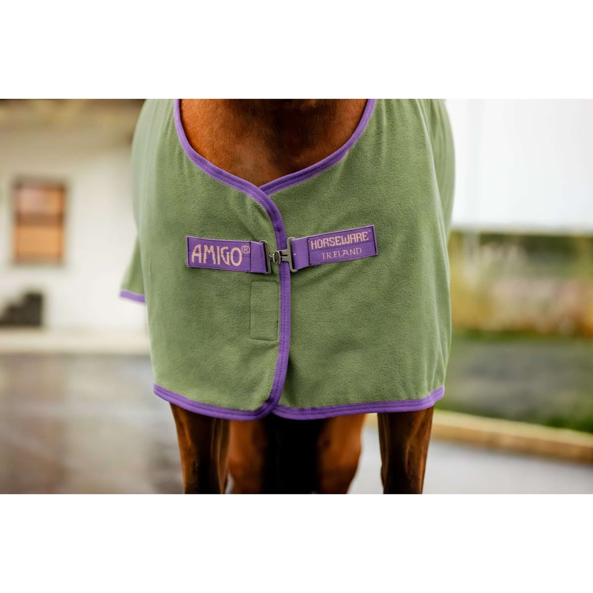 Amigo Jersey Cooler Bramble/Winterberry