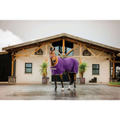 Amigo Jersey Cooler Winterberry/Taupe