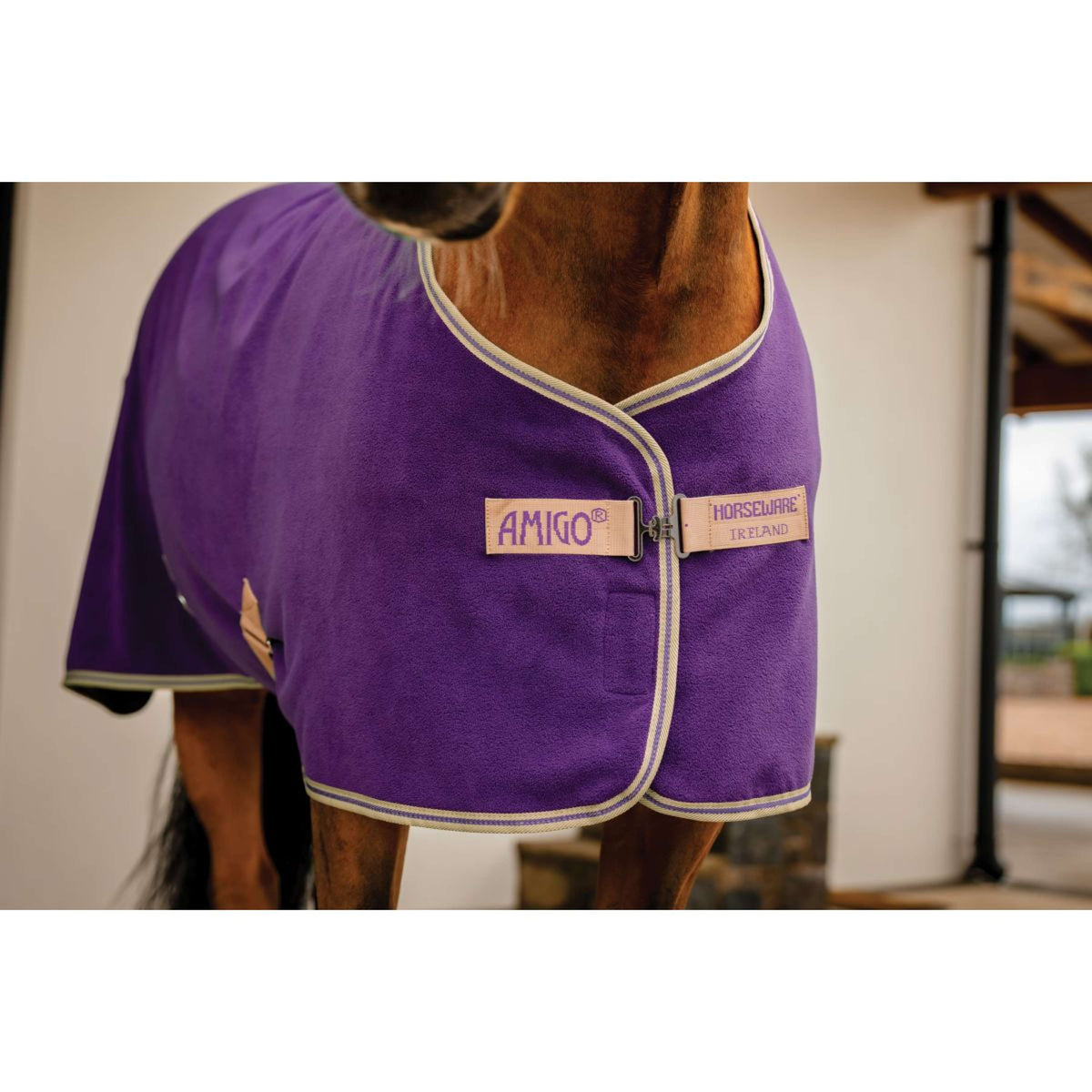 Amigo Jersey Cooler Winterberry/Taupe