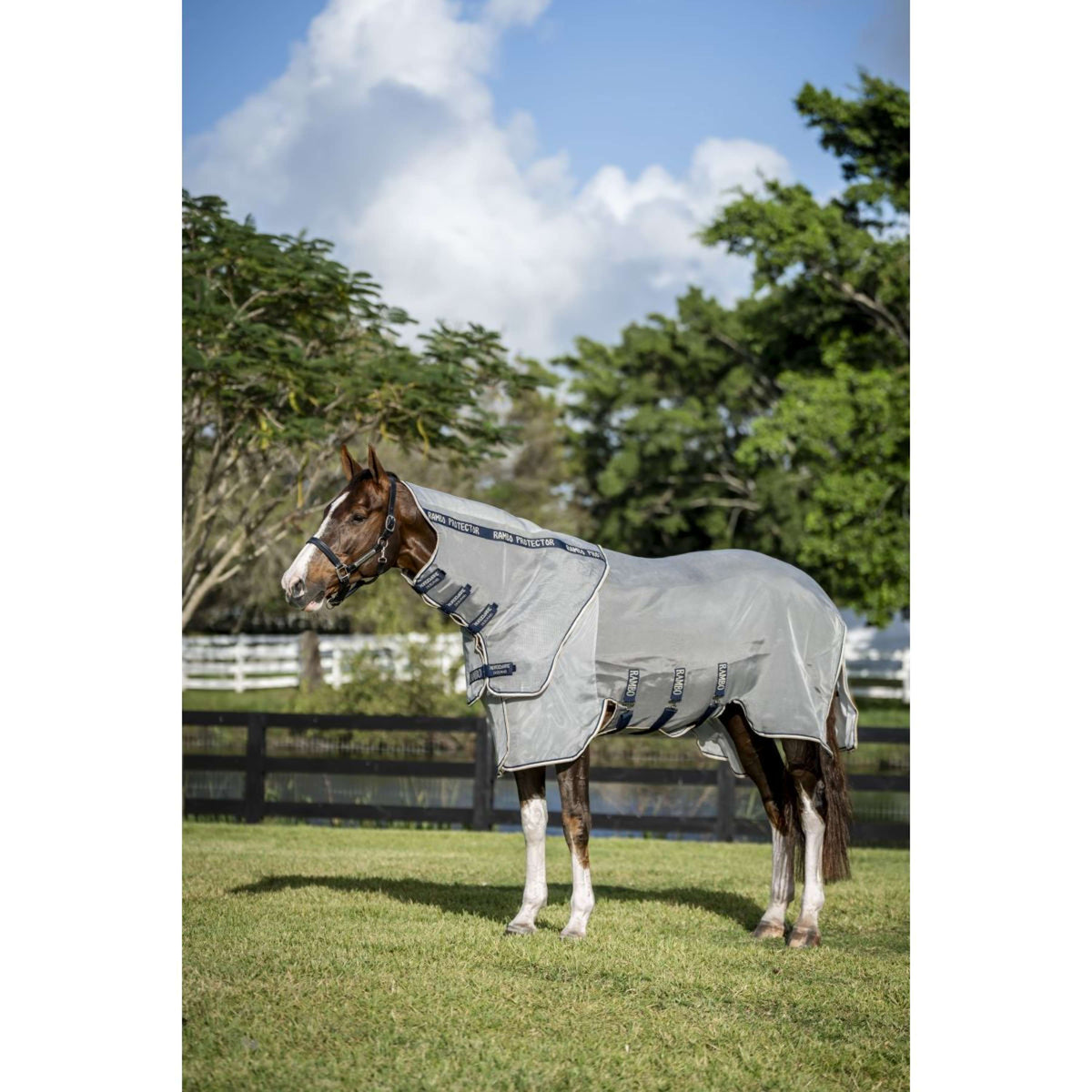 Rambo Protector Fieldsafe Plus Plata/Azul marino/Blanco/Beige