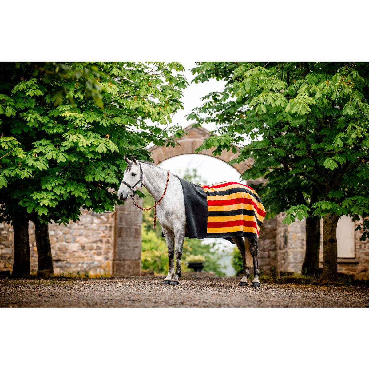 Horseware Manta de Forro Polar Newmarket Witney Gold
