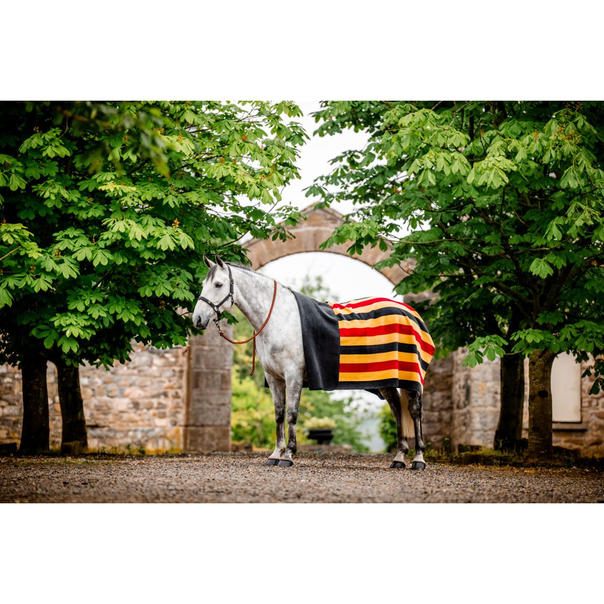 Horseware Manta de Forro Polar Newmarket Witney Gold