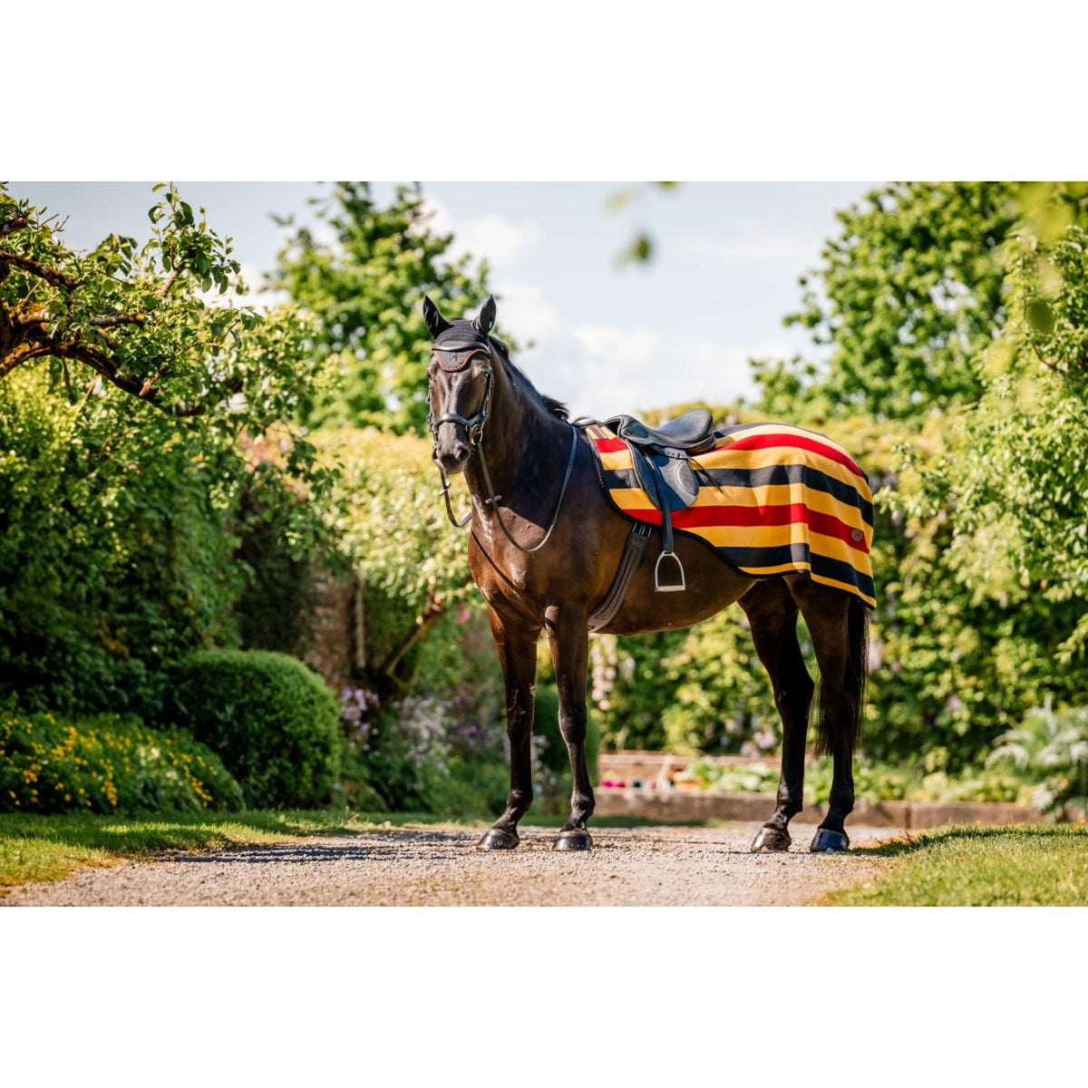 Horseware Manta de ejercicio Newmarket Witney Gold