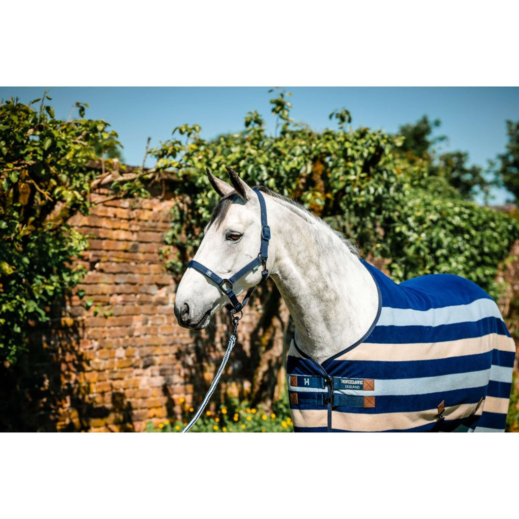 Amigo Cabestro y Ramal Newmarket Witney Navy