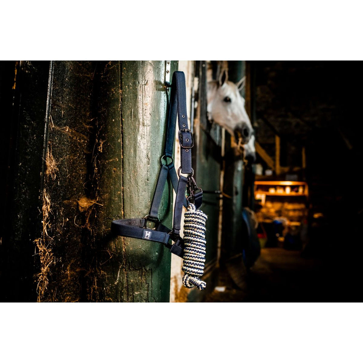 Amigo Cabezada y Ramal Newmarket Witney Navy