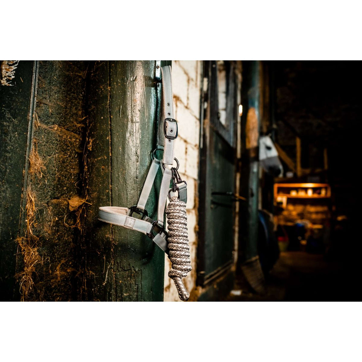 Amigo Cabezada y Ramal Newmarket Witney Charcoal