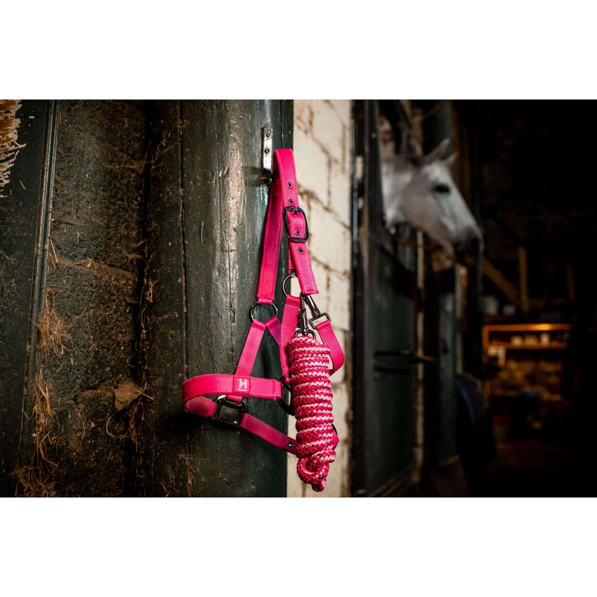 Amigo Cabezada y Ramal Newmarket Witney Pink