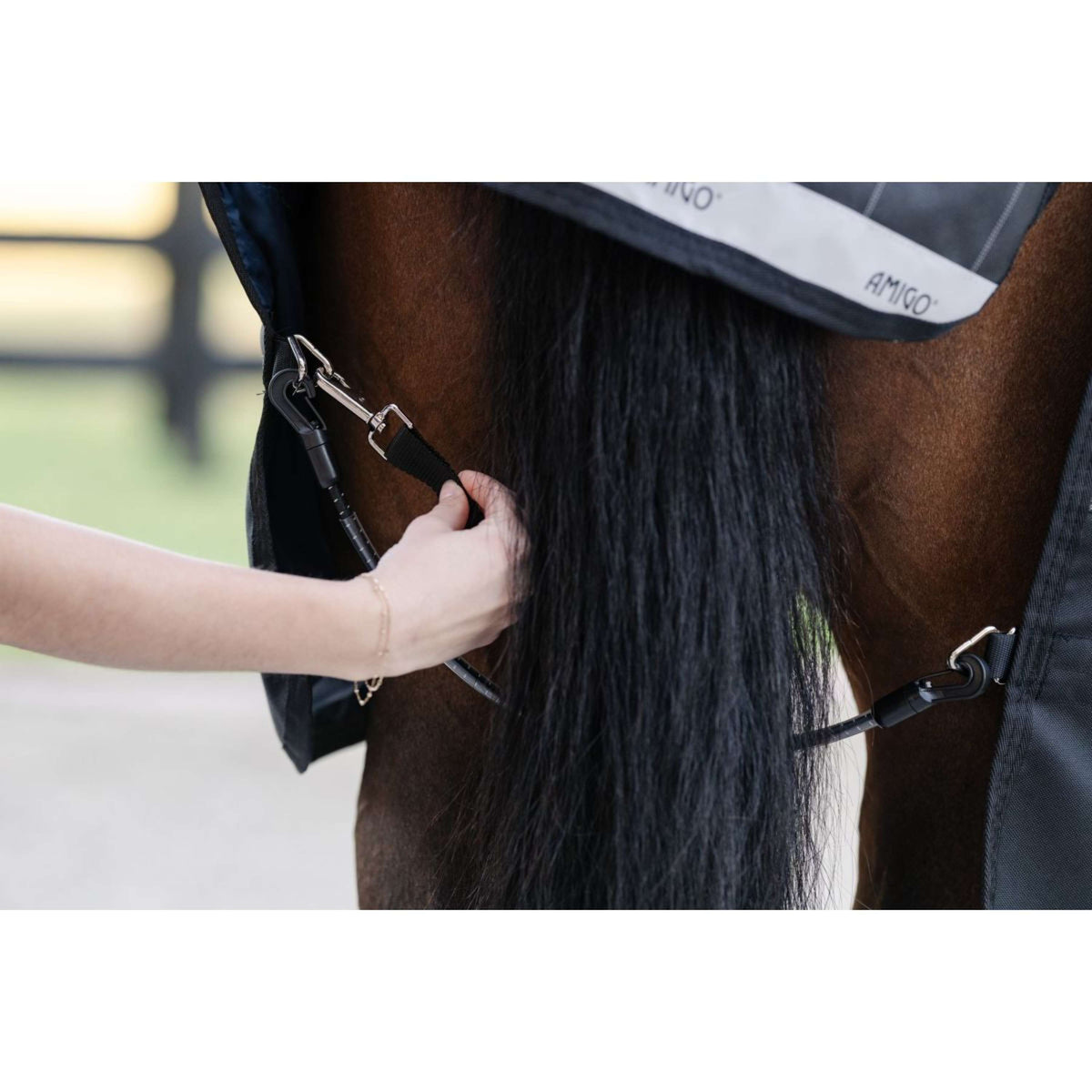 Horseware Correas para Piernas Negro